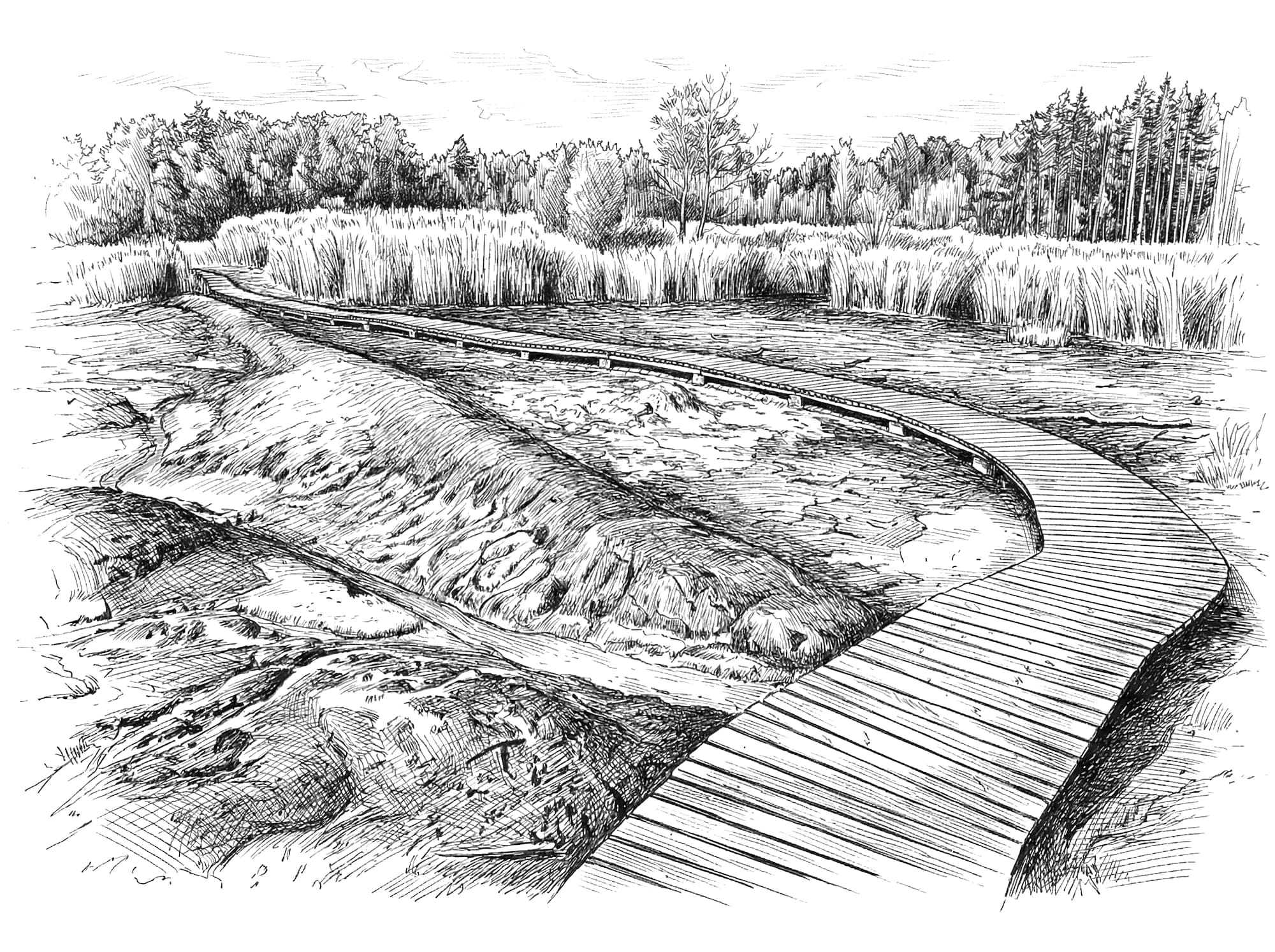 Národní přírodní rezervace SOOS